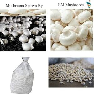 Mushroom Spawn and Compost